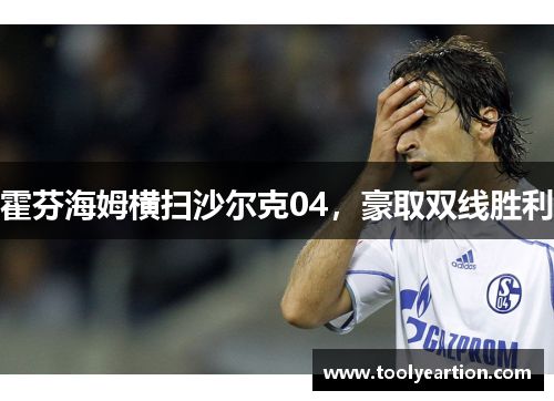 霍芬海姆横扫沙尔克04，豪取双线胜利